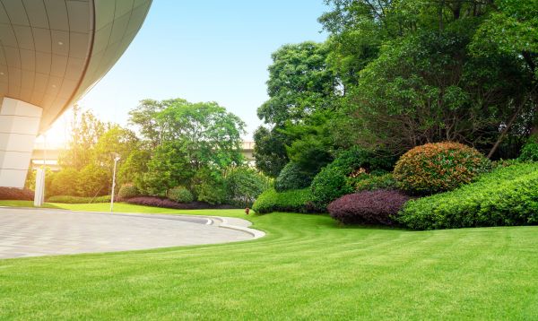 Commercial Lawn Care in Nampa