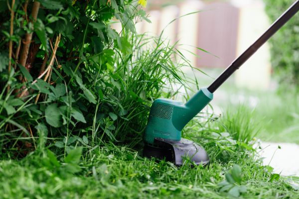 Weed Whacking in Nampa