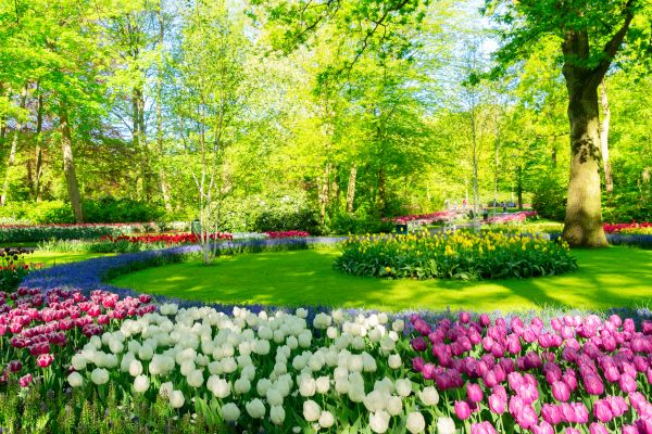 Cost of Spring Lawn Care in Nampa