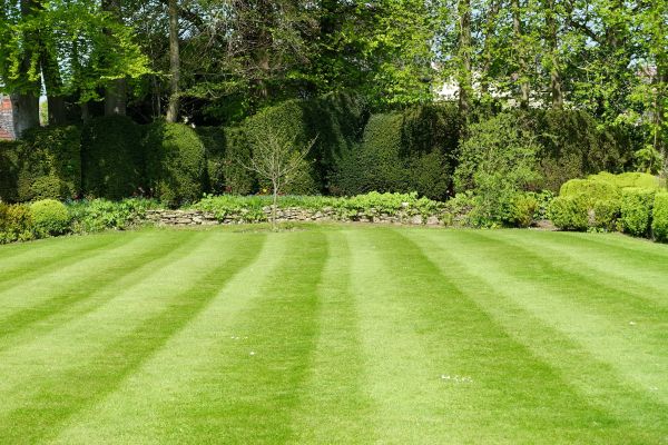 Grass Care Service in Nampa