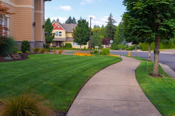 Home Lawn Maintenance in Nampa
