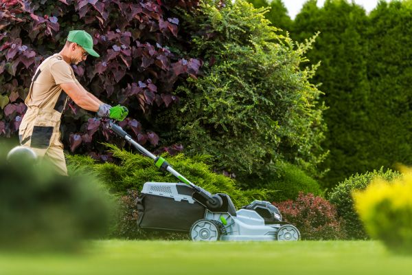 Lawn Management in Nampa