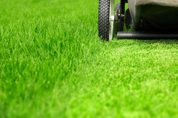 Weekly Lawn Care in Nampa