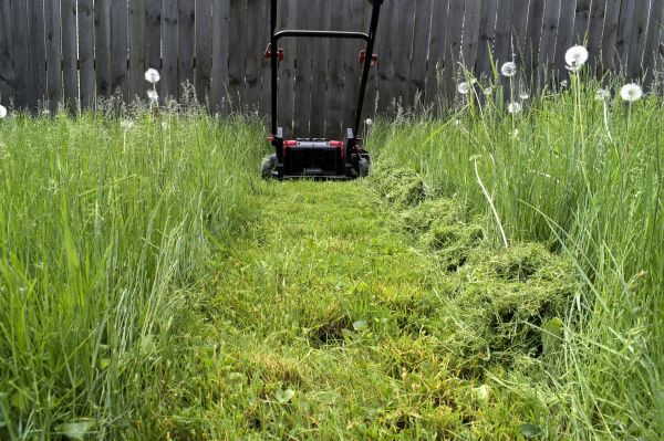 High Grass Mowing in Nampa