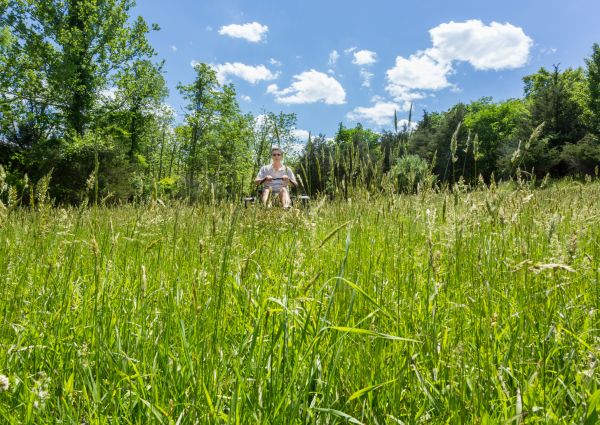 Long Grass Mowing in Nampa