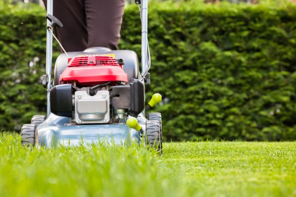 Grass Trimming Service in Nampa