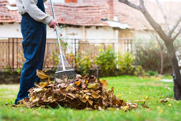 Cost of Routine Lawn Maintenance in Nampa
