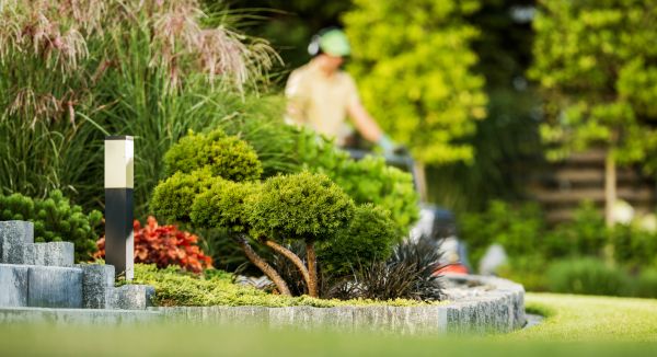 Residential Yard Maintenance in Nampa