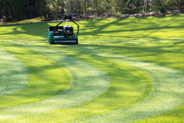 Business Lawn Mowing in Nampa