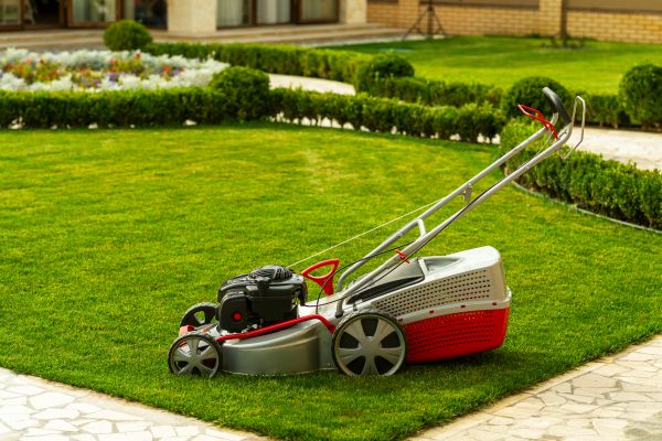 Business Grass Cutting in Nampa