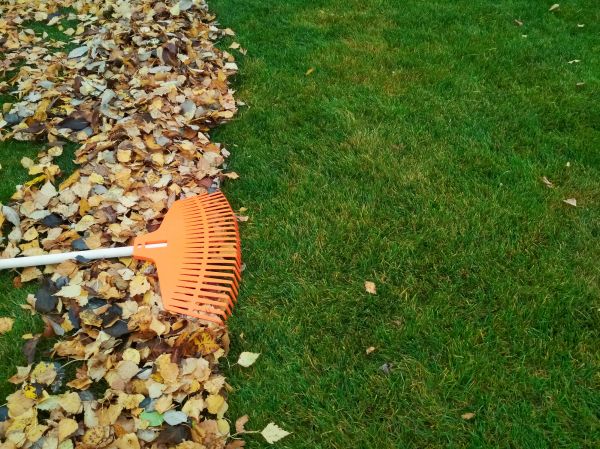 Fall Lawn Care in Nampa