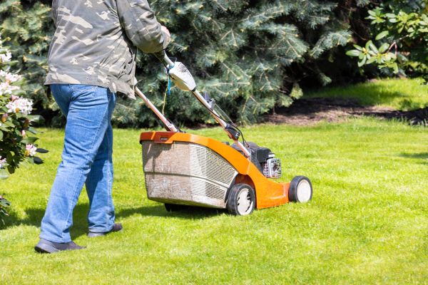 Springtime Lawn Care in Nampa