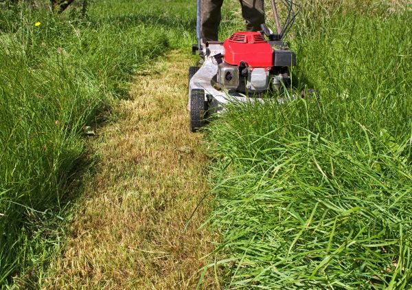 Leaf Mowing in Nampa