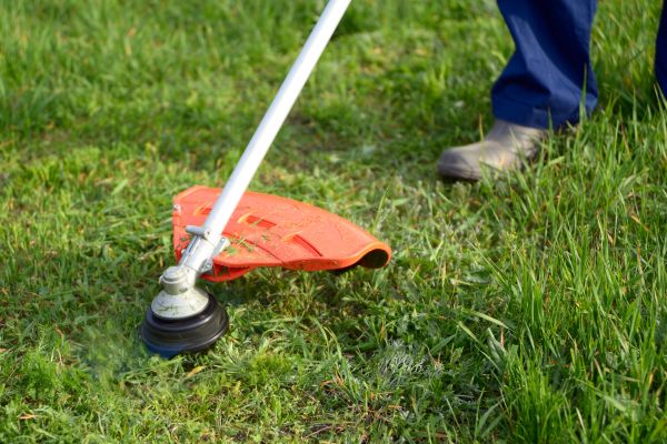 Cost of Lawn Weed Whacking in Nampa