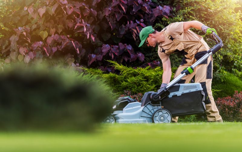 Business Lawn Maintenance