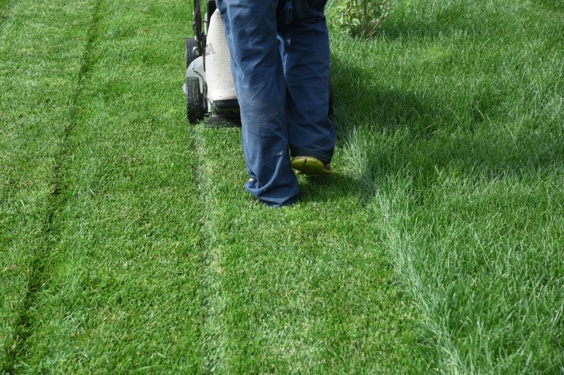 Commercial Lawn Mowing