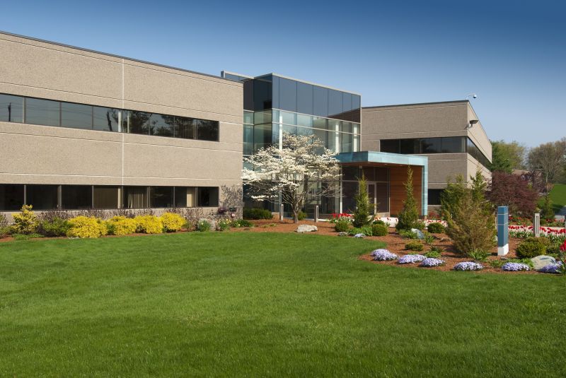 Commercial Yard Maintenance