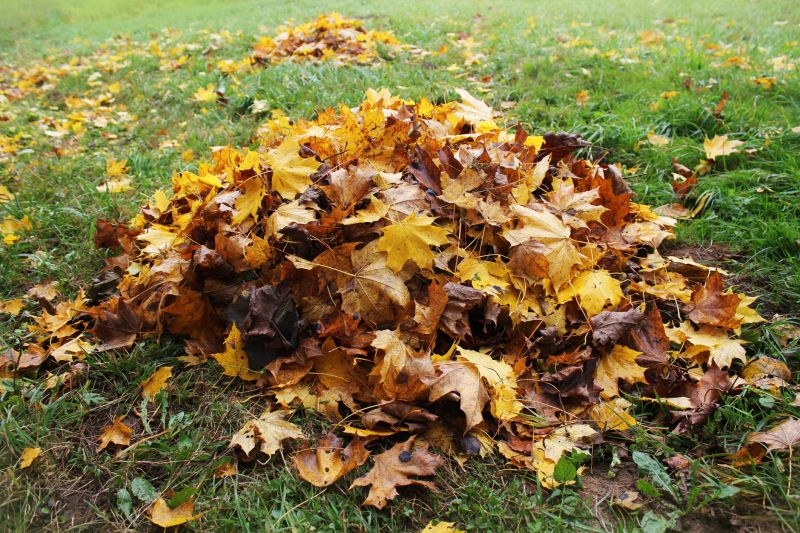 Fall Lawn Care