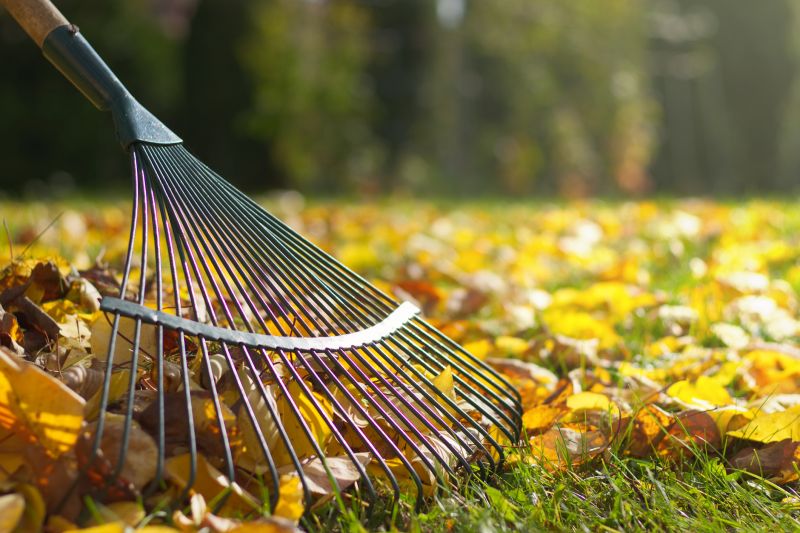 Autumn Lawn Maintenance Tools