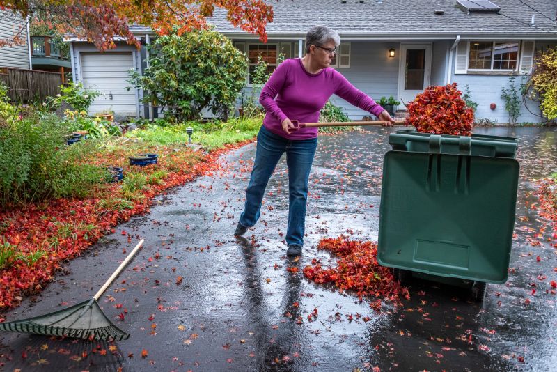 Bagging Fall Leaves