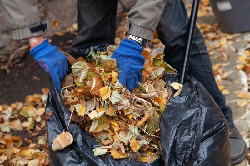 Leaf Mulching