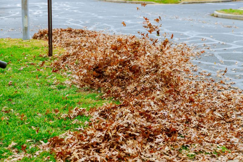 Fall Mowing