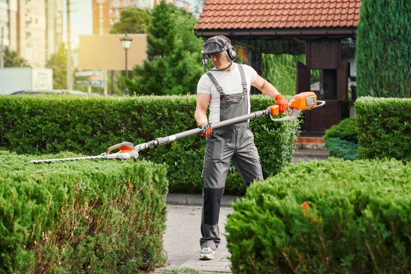 Fence Line Trimming