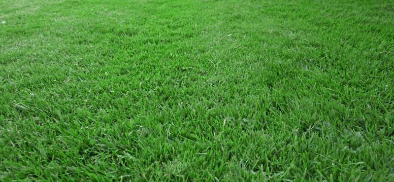 Lawn Maintenance detail