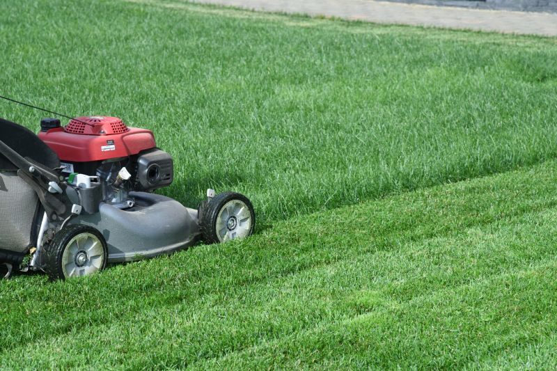 Lawn Maintenance detail