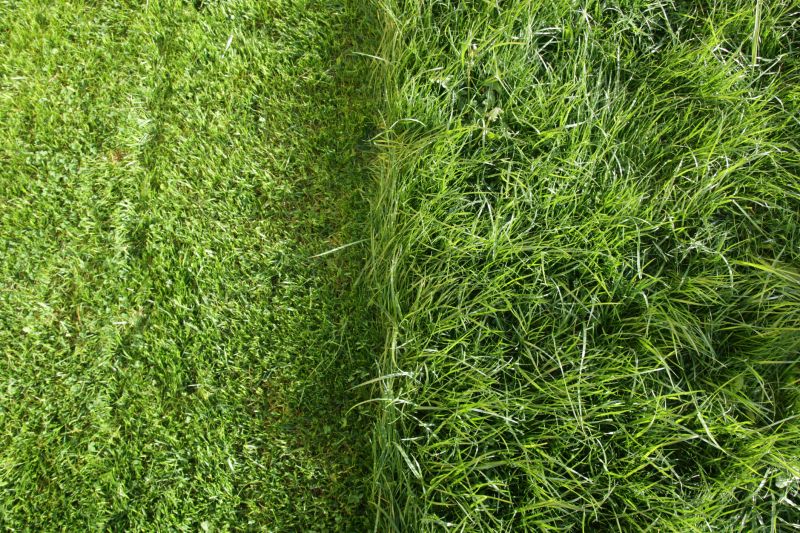Lawn Mowing detail
