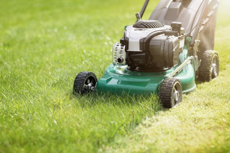 Lawn Mowing detail