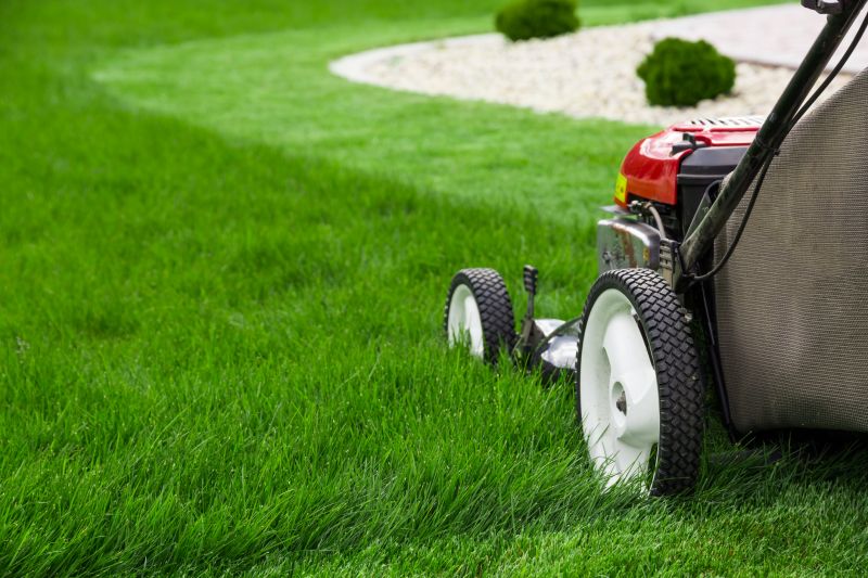 Lawn Mowing detail