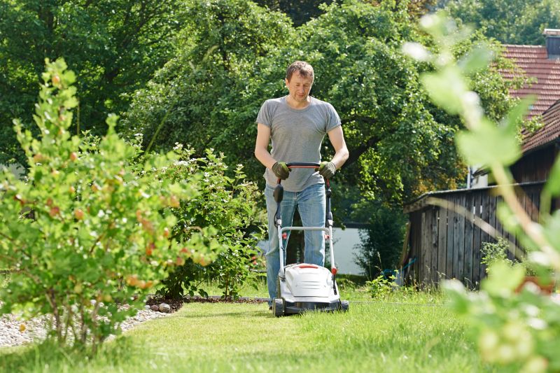 Residential Lawn Mowing detail