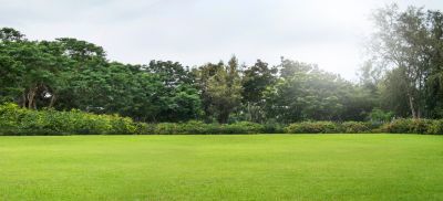 Golf Course Mowing