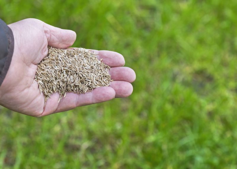 Grass Care Service