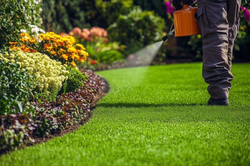 Grass Care Service