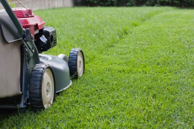 Grass Mowing