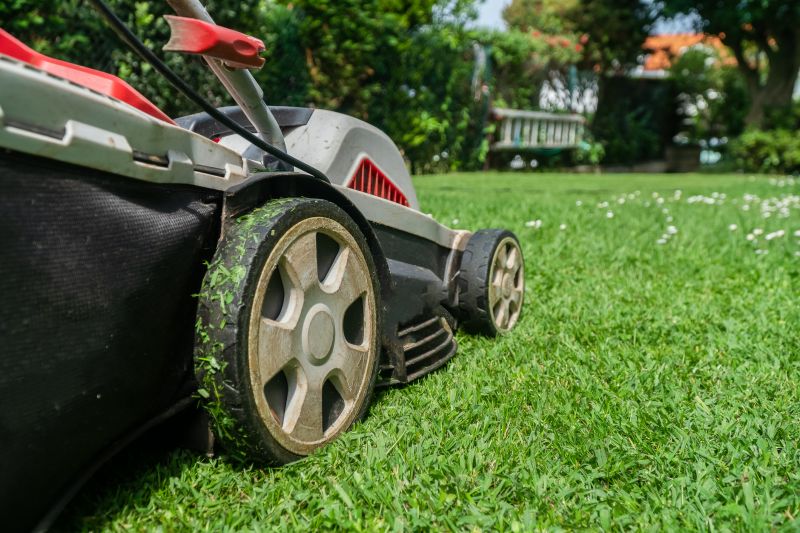 High Grass Mowing