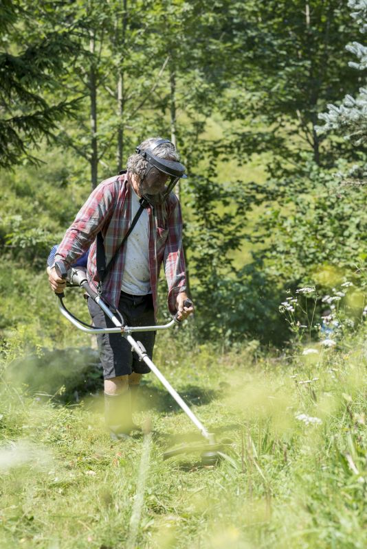 High Grass Trimming