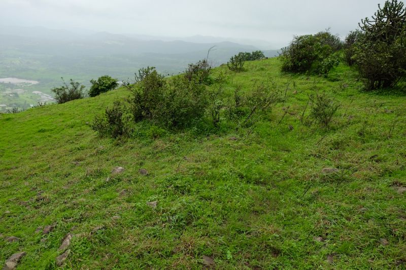 Hillside Mowing
