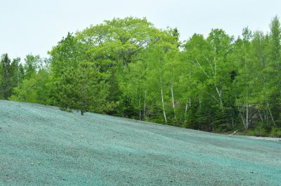 Hillside Weed Eating