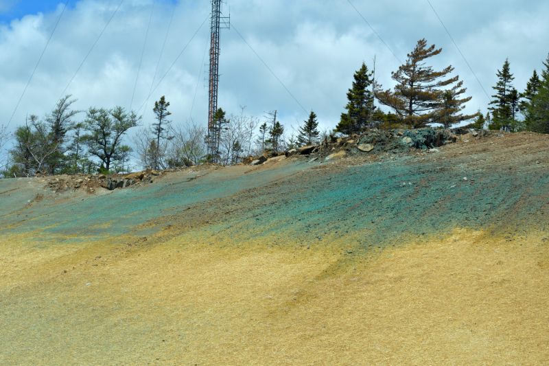 Hillside Weed Eating