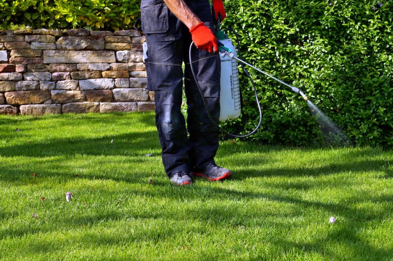 Hillside Weed Whacking
