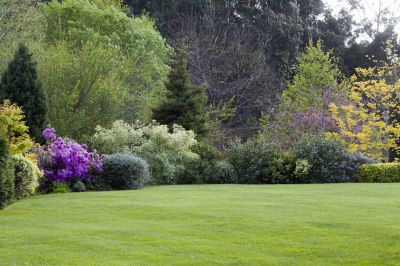 Lawn Care And Maintenance