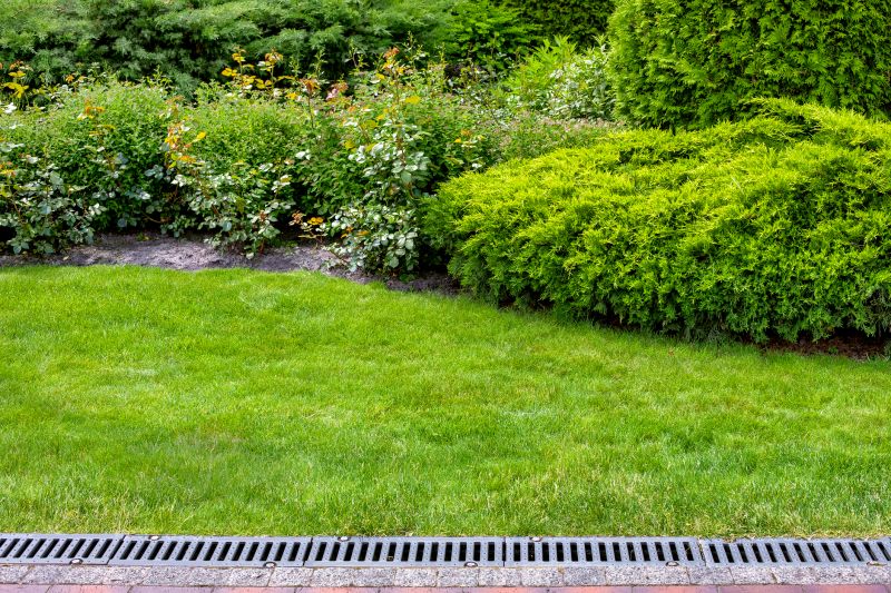 Lawn Management