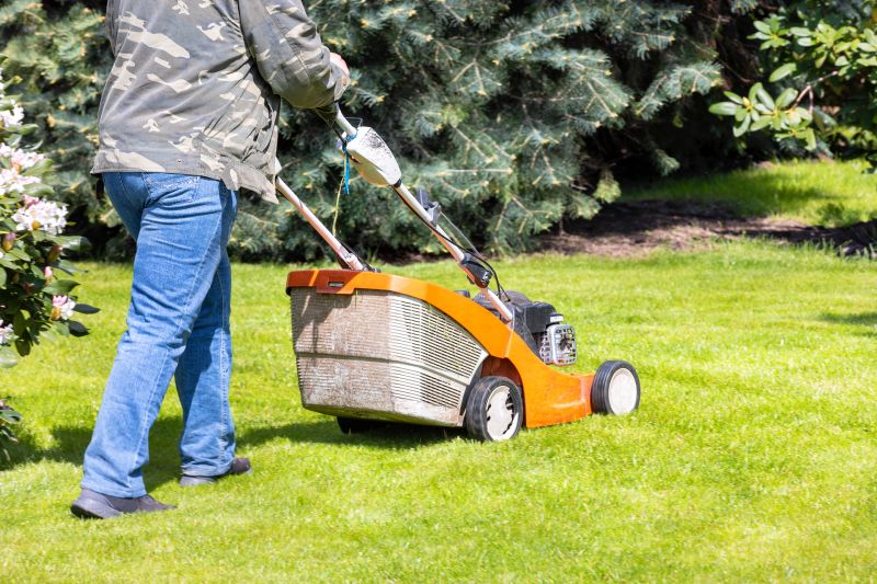 Lawn Mowing