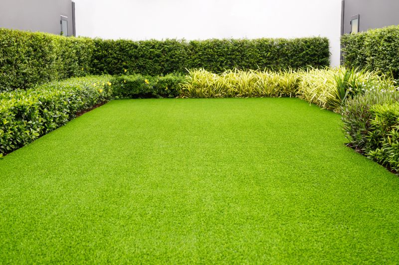 Lush Green Lawn