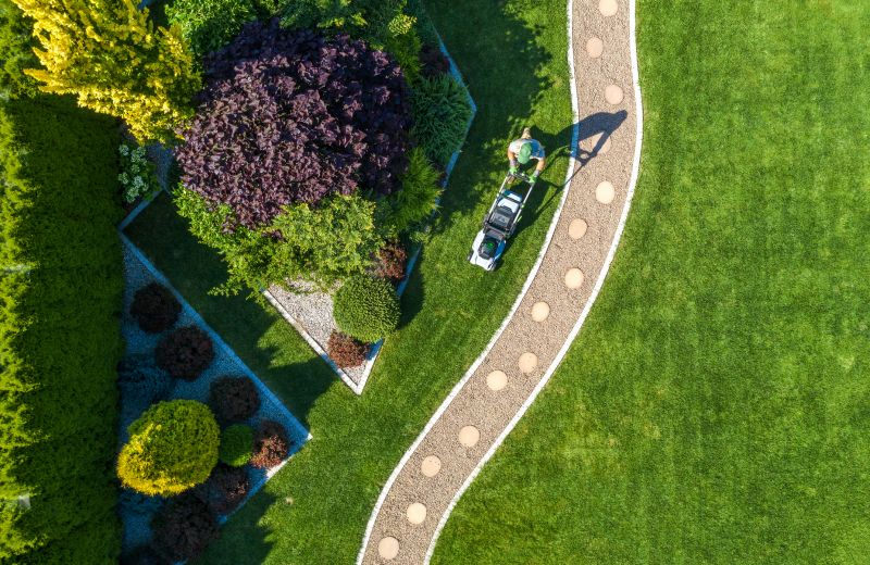Lawn Before and After