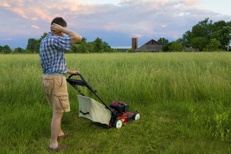 Lawn Mowing in Spring