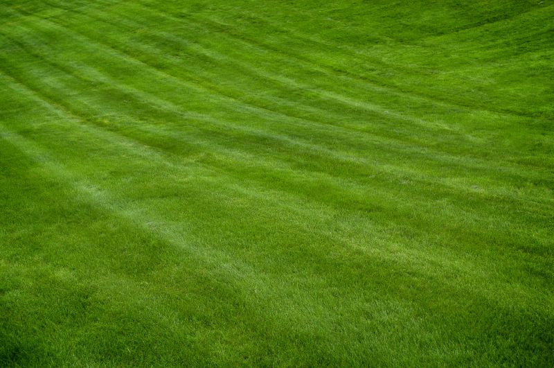 Summer Mowing